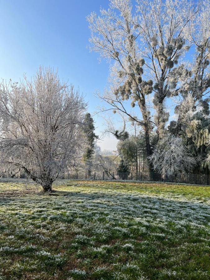 Relais D'Arbigny Bed & Breakfast Eksteriør bilde